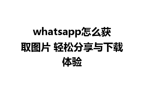 whatsapp怎么获取图片 轻松分享与下载体验