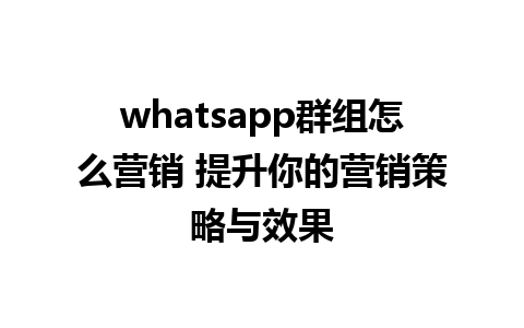 whatsapp群组怎么营销 提升你的营销策略与效果